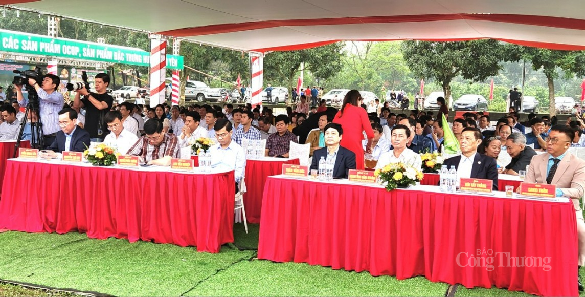 Tân Yên (Bắc Giang): Xúc tiến tiêu thụ sản phẩm sâm Nam núi Dành 